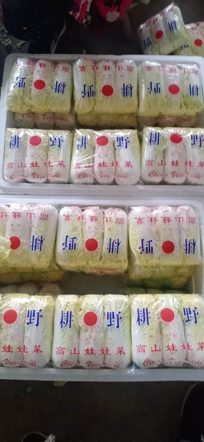 精品娃娃菜，大量供应小娃娃菜！现场加工！一手货源！大娃娃