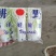 精品娃娃菜，大量供应小娃娃菜！现场加工！一手货源！大娃娃
