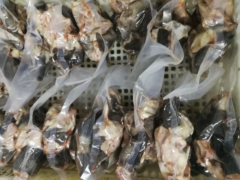 乌龟肉中华草龟肉去皮去内脏净龟肉