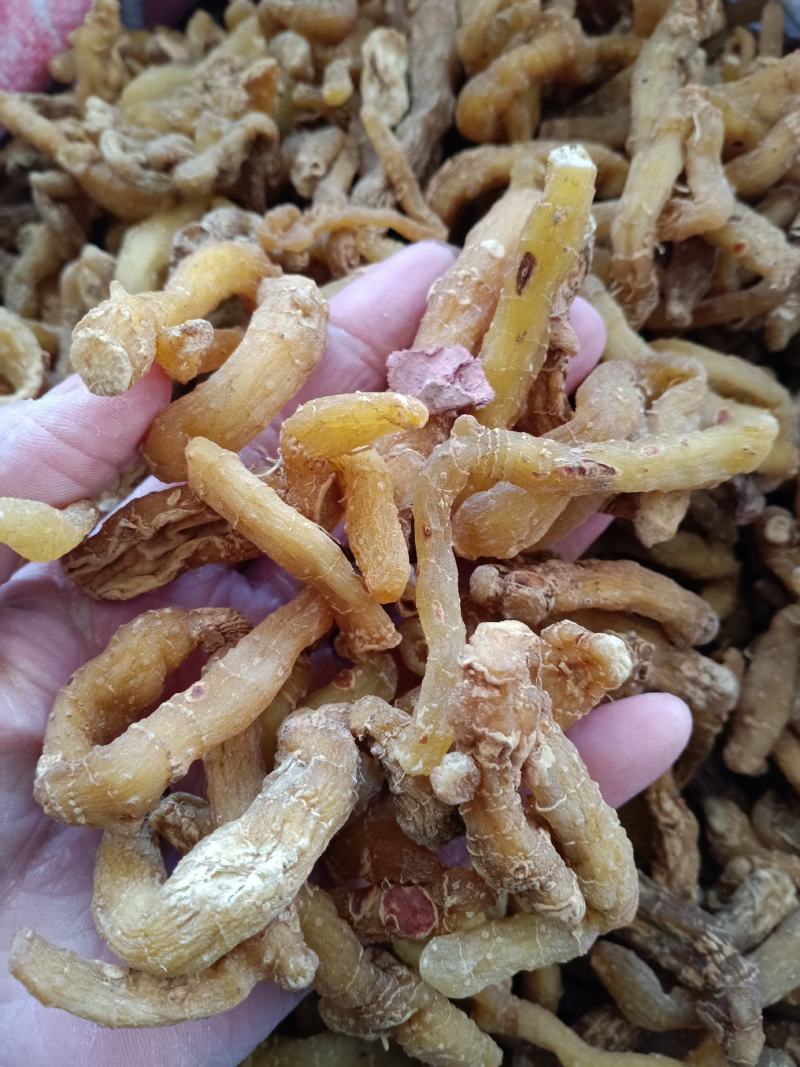 玉竹，玉竹条统货质量保证，经营各种中药材欢迎咨询合作！