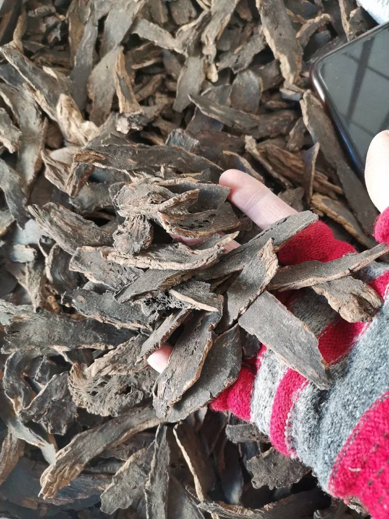 板蓝根，优质板蓝根阻，板蓝根片，中药批发板蓝根