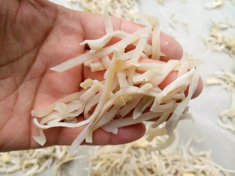 白木耳丝佛跳墙添加木耳丝口感脆嫩竹耳丝酒店特色食材全国发