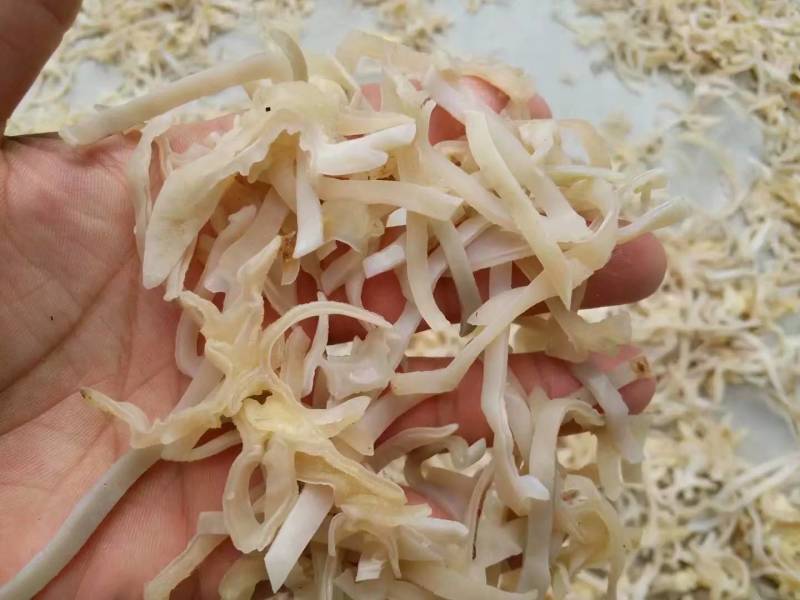 白木耳丝佛跳墙添加木耳丝口感脆嫩竹耳丝酒店特色食材全国发
