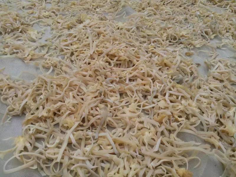 白木耳丝佛跳墙添加木耳丝口感脆嫩竹耳丝酒店特色食材全国发