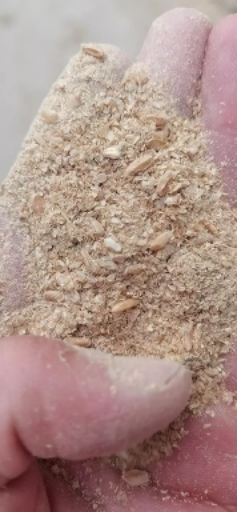 碎麸皮养殖转用，含麦粒百分之50蛋白含量15适口性好。