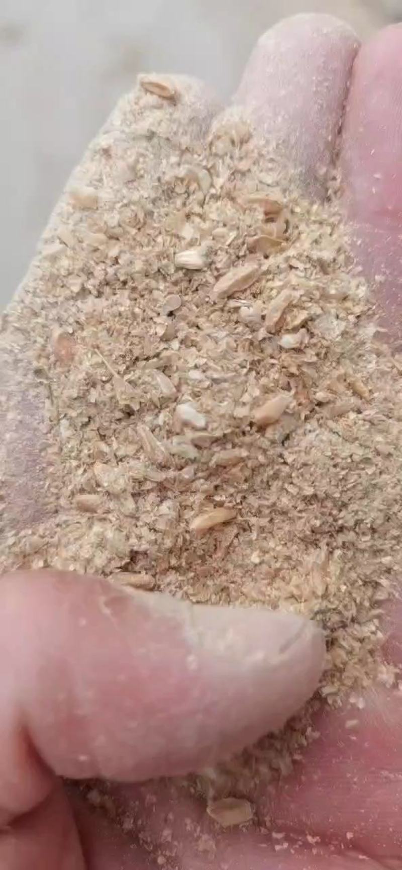 碎麸皮养殖转用，含麦粒百分之50蛋白含量15适口性好。