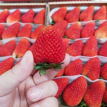『一件玳发』凉山草莓，凉山草莓，草莓，电商供应链