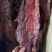 大块肉酱香肉一手货源地摊展销会货源批发