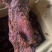 大块肉酱香肉一手货源地摊展销会货源批发