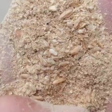 碎麸皮养殖转用，含麦粒百分之50蛋白含量15适口性好。
