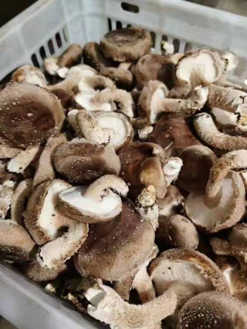 鲜香菇