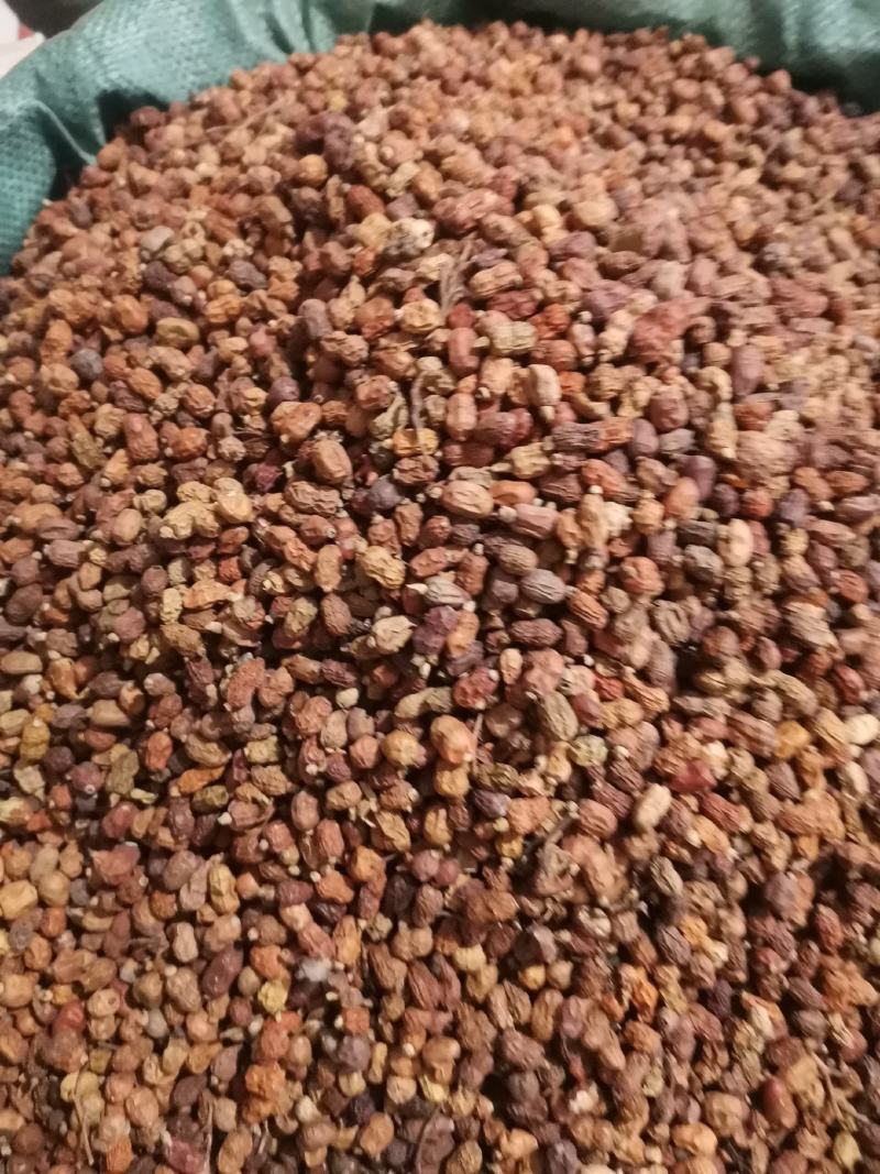 优质进口白豆蔻红豆蔻肉豆蔻紫豆蔻规格齐全量大从优