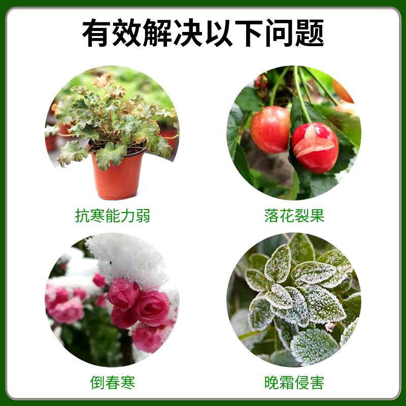 植物防冻液抗冻剂果树蔬菜苗木防寒安全过冬防冻剂植物防