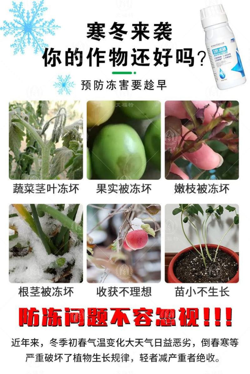植物防冻液抗冻剂果树蔬菜苗木防寒安全过冬防冻剂植物防