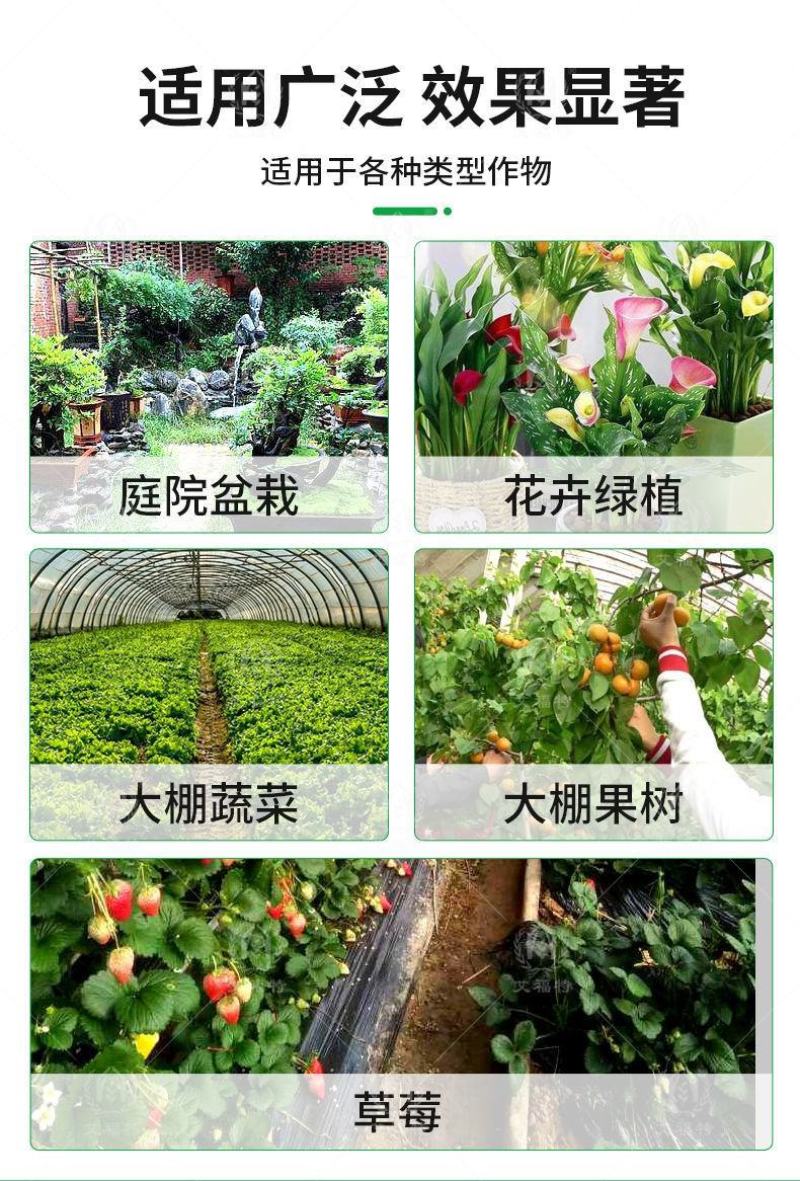 植物防冻液抗冻剂果树蔬菜苗木防寒安全过冬防冻剂植物防