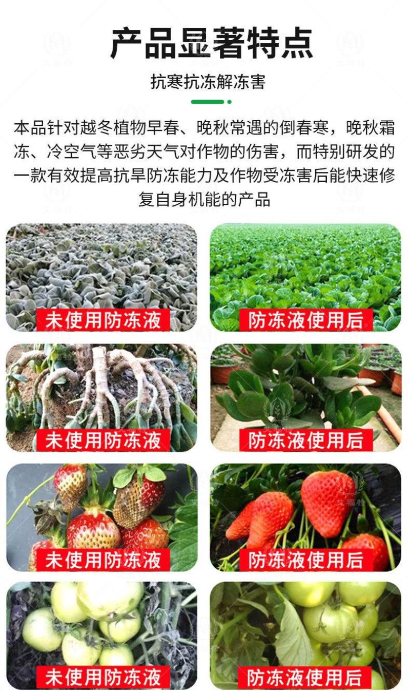 植物防冻液抗冻剂果树蔬菜苗木防寒安全过冬防冻剂植物防