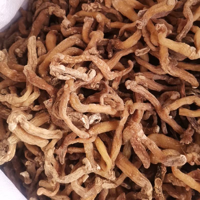 优质湖南湘玉竹熟条产地直销量大从优