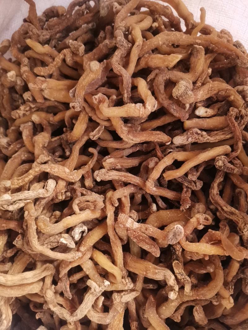 优质湖南湘玉竹熟条产地直销量大从优