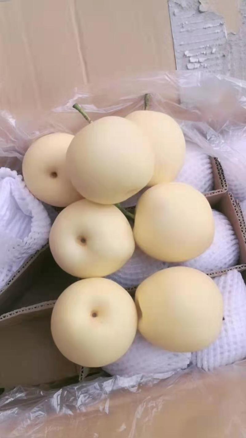 皇冠梨专业对接电商，快递，社区水果团购，社区水果供应，好