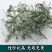 正宗纯真云南灵香草包邮质保卤料调料火锅
