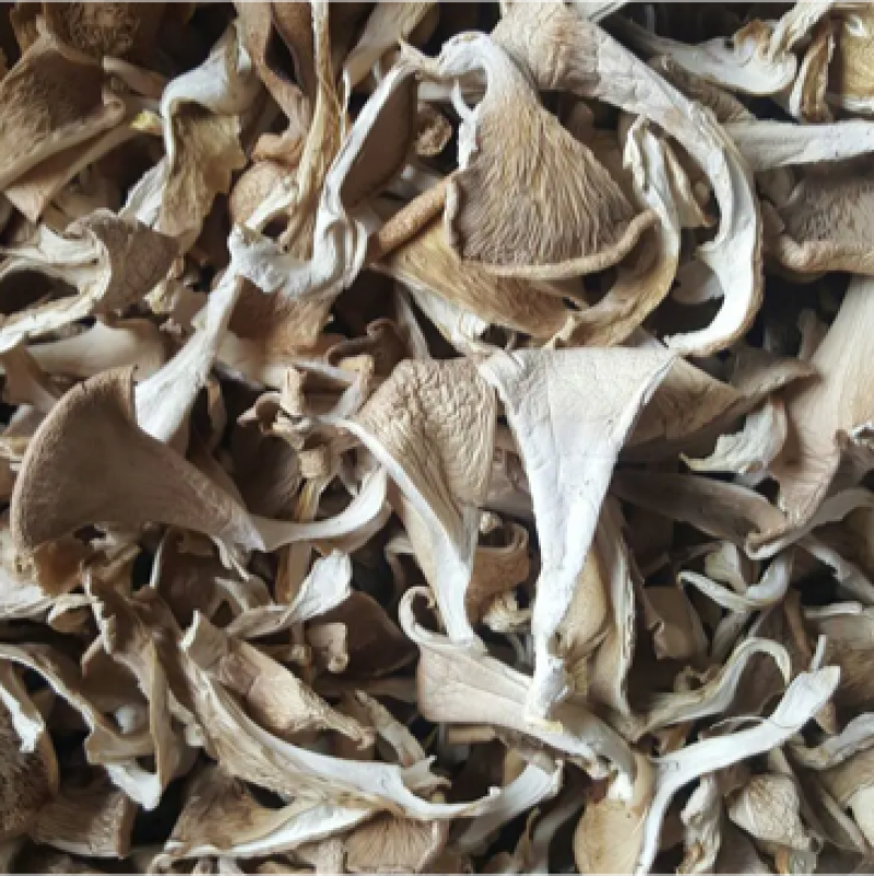 【实力推荐】干平菇大量供应自然烘干商超品质一手货源