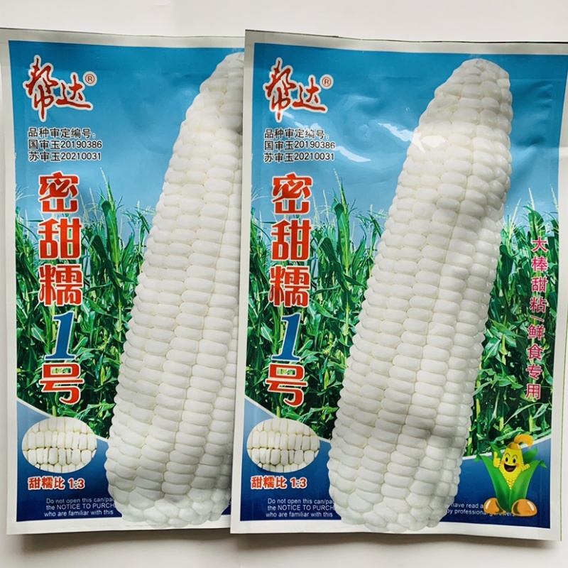 帮达国审玉米种子密甜糯1号白糯玉米种子大棒甜粘鲜食玉米