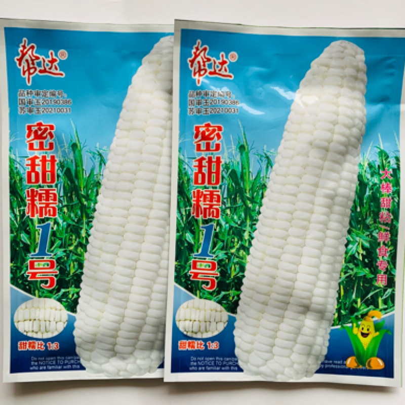 帮达国审玉米种子密甜糯1号白糯玉米种子大棒甜粘鲜食玉米