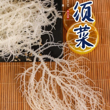 龙须菜（纯干鹿角菜海石花鹿角菜）海石花