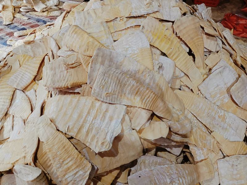 出仓笋新货开仓笋压榨笋干薄片嫩头江西春笋压榨笋干毛竹笋干