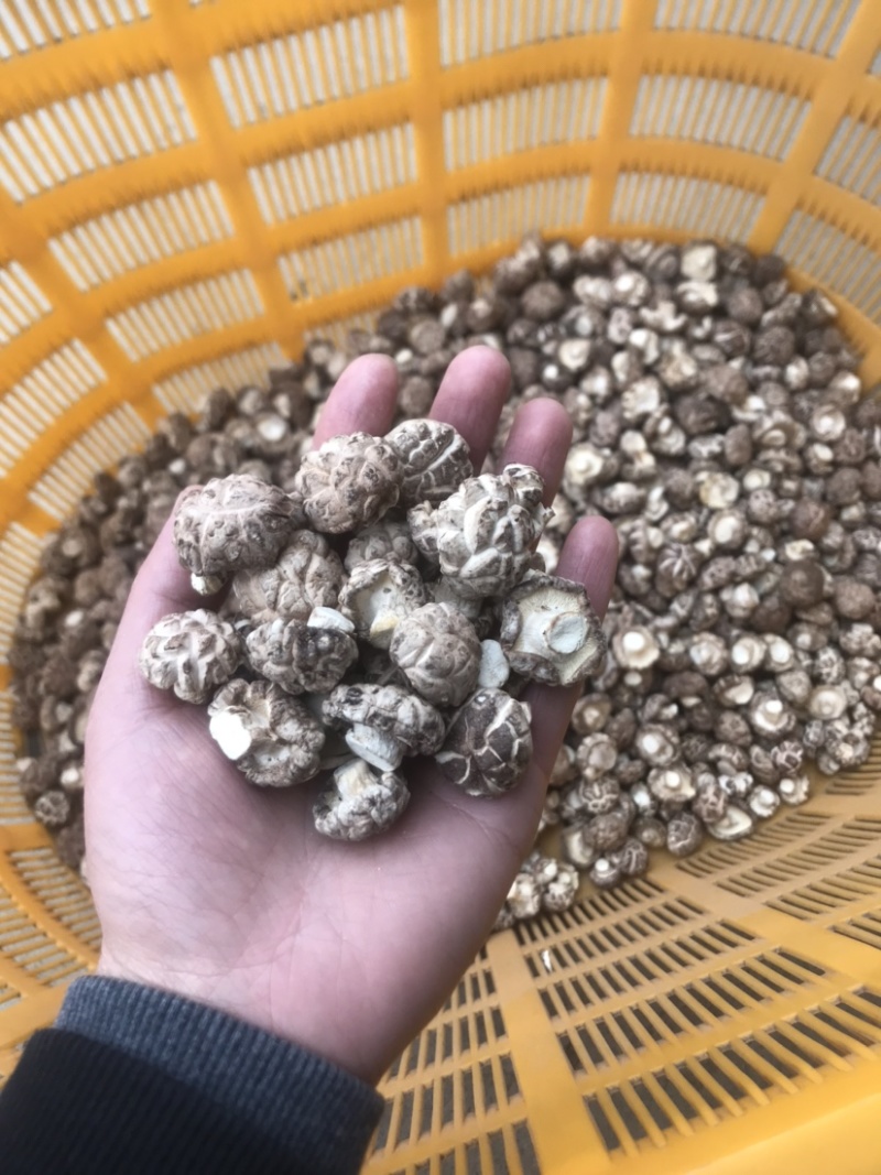 精选干香菇大小型号，产地发货，质美价优