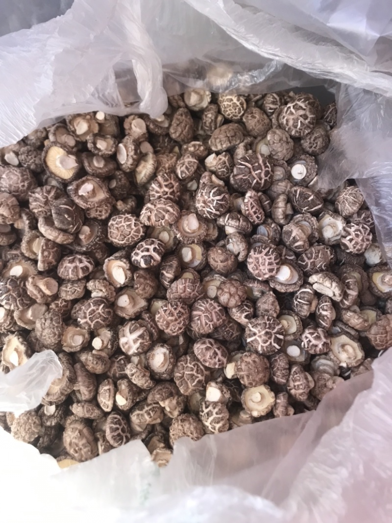 精选干香菇大小型号，产地发货，质美价优