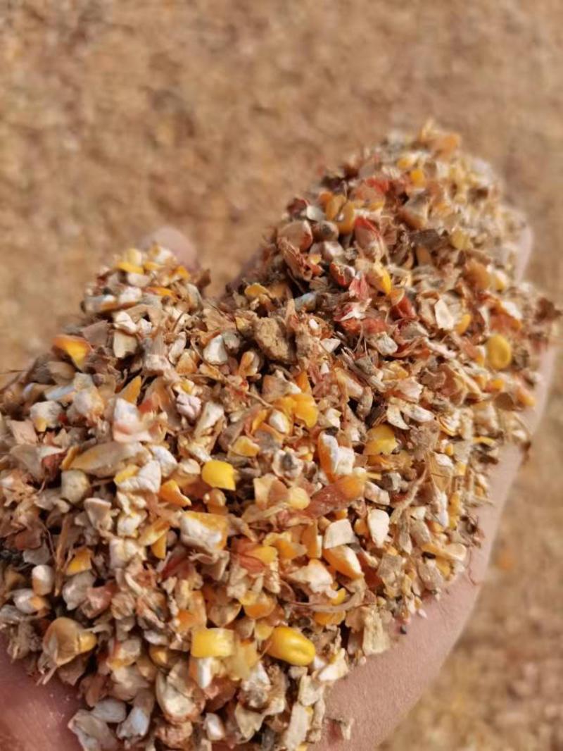 碎玉米养殖神器降低养殖成本水分低无土无沙