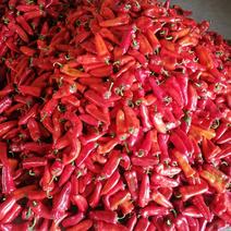 【红椒】安徽精品红椒上市产地直供一手货源实力代办