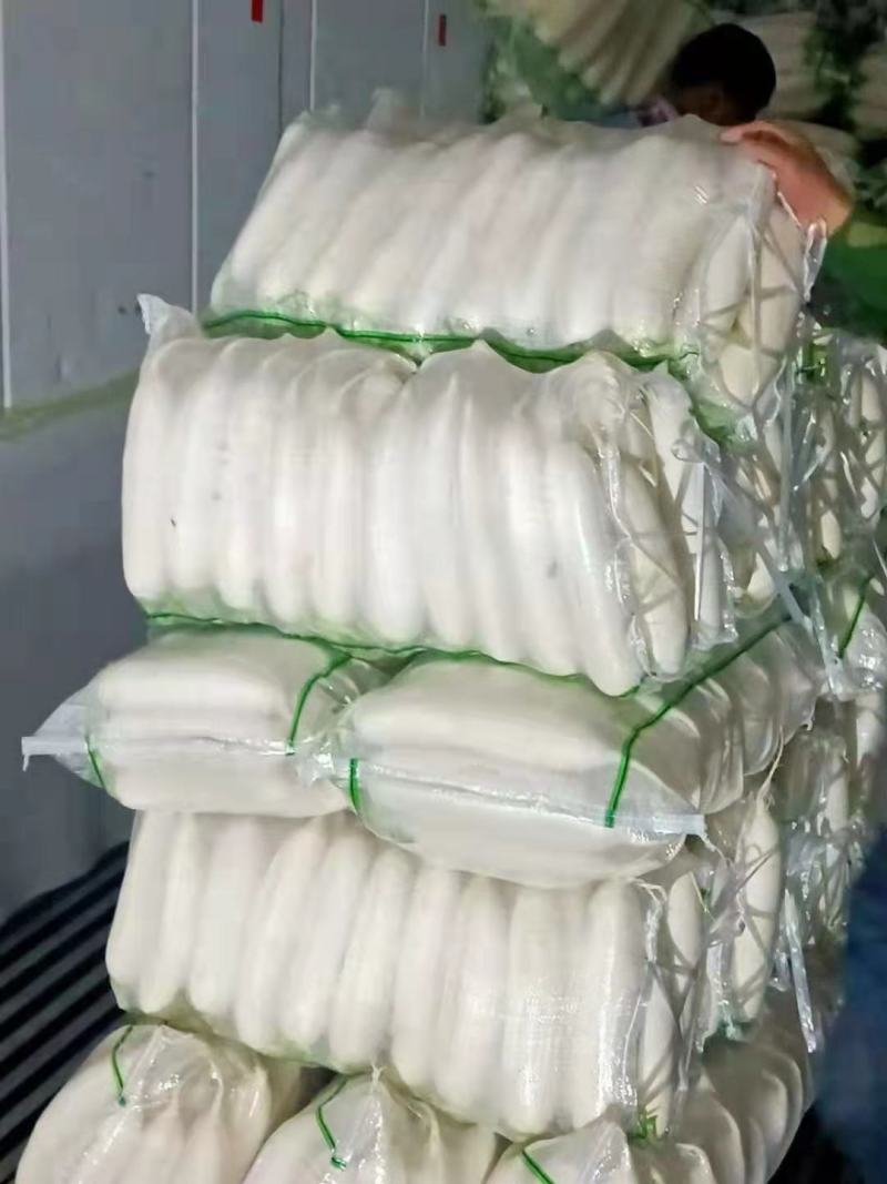 白萝卜大量有货欢迎各地采购商来电采购