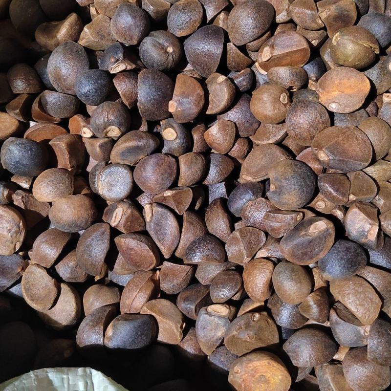 山茶油（正宗物理压榨）老树油茶籽，可以守着榨的正宗茶油