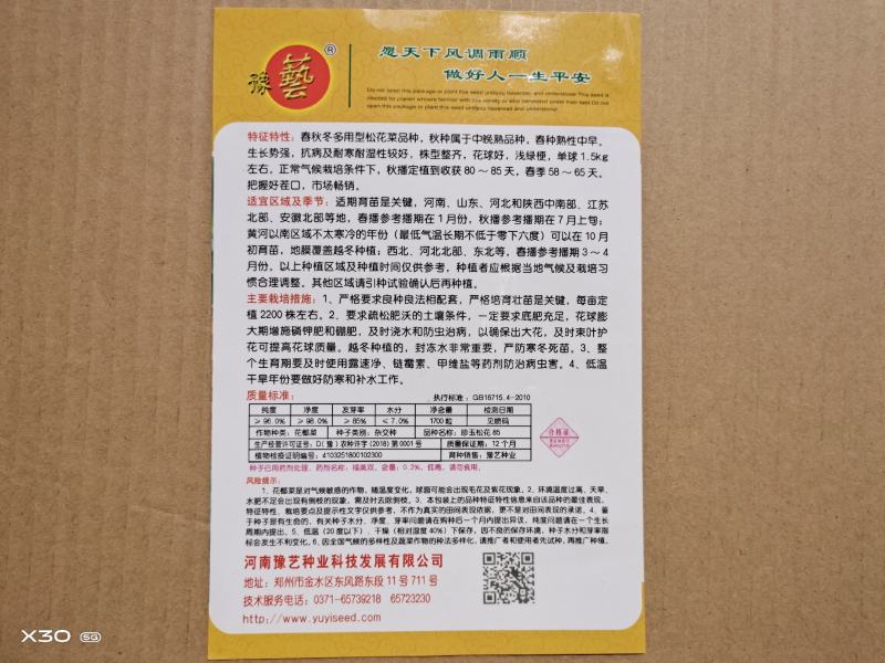 松花菜种子珍玉松花85菜花散花菜青梗菜花高产抗病厂家直销