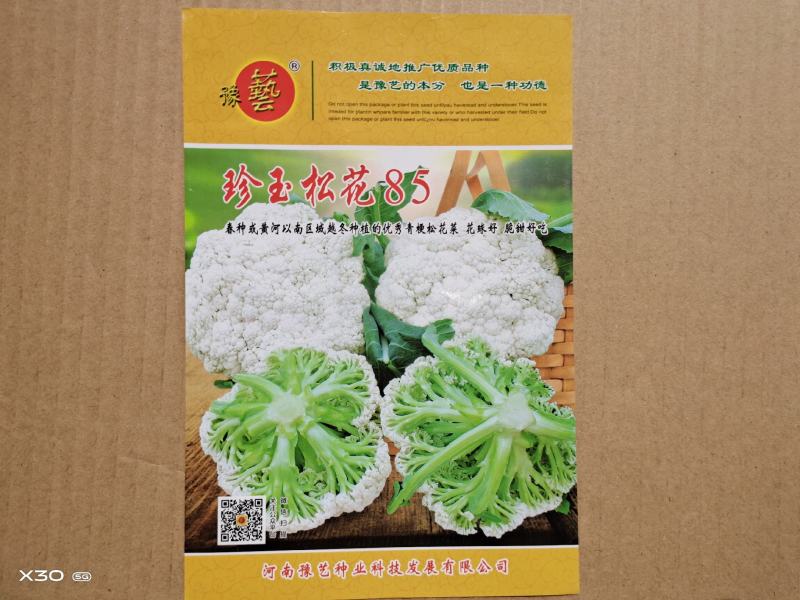 松花菜种子珍玉松花85菜花散花菜青梗菜花高产抗病厂家直销