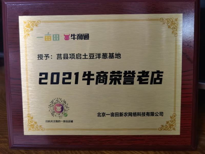 精品红皮洋葱产地直发/货源充足质量保证/全国代发诚信经营