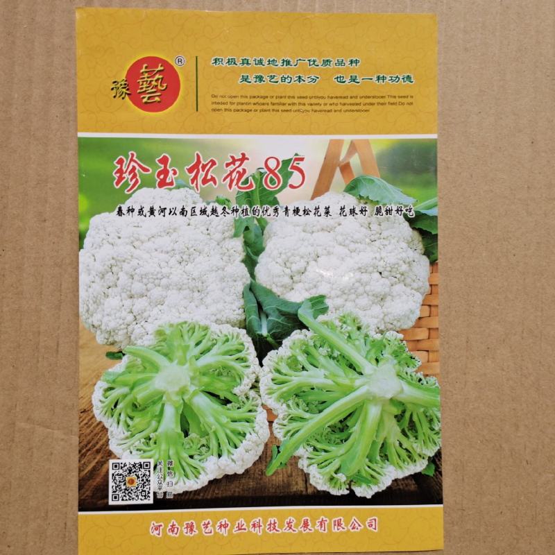 松花菜种子珍玉松花85菜花散花菜青梗菜花高产抗病厂家直销