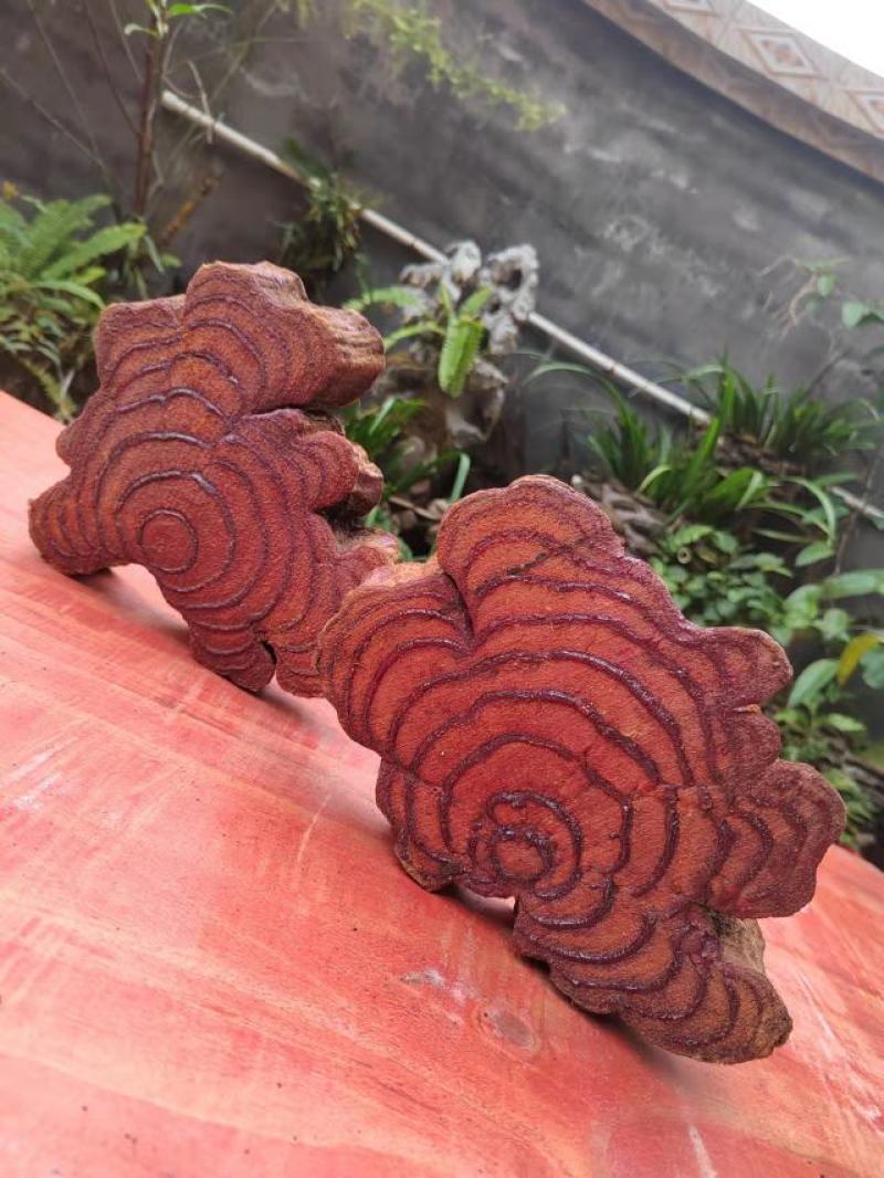 野生上百年特大精品鸡血藤，可做装饰品，精美礼品，精美汤料
