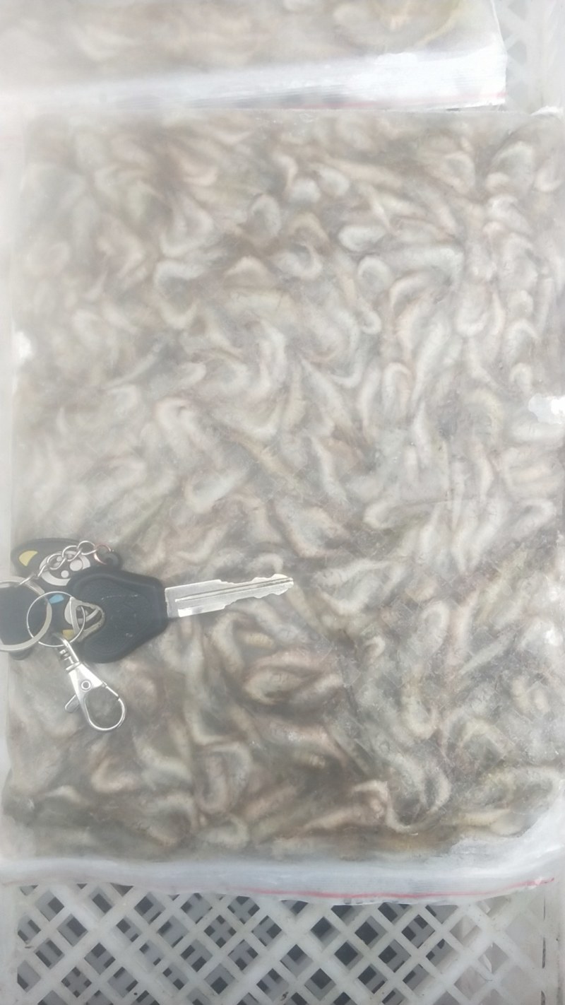 河虾规格4-6公分，冻板