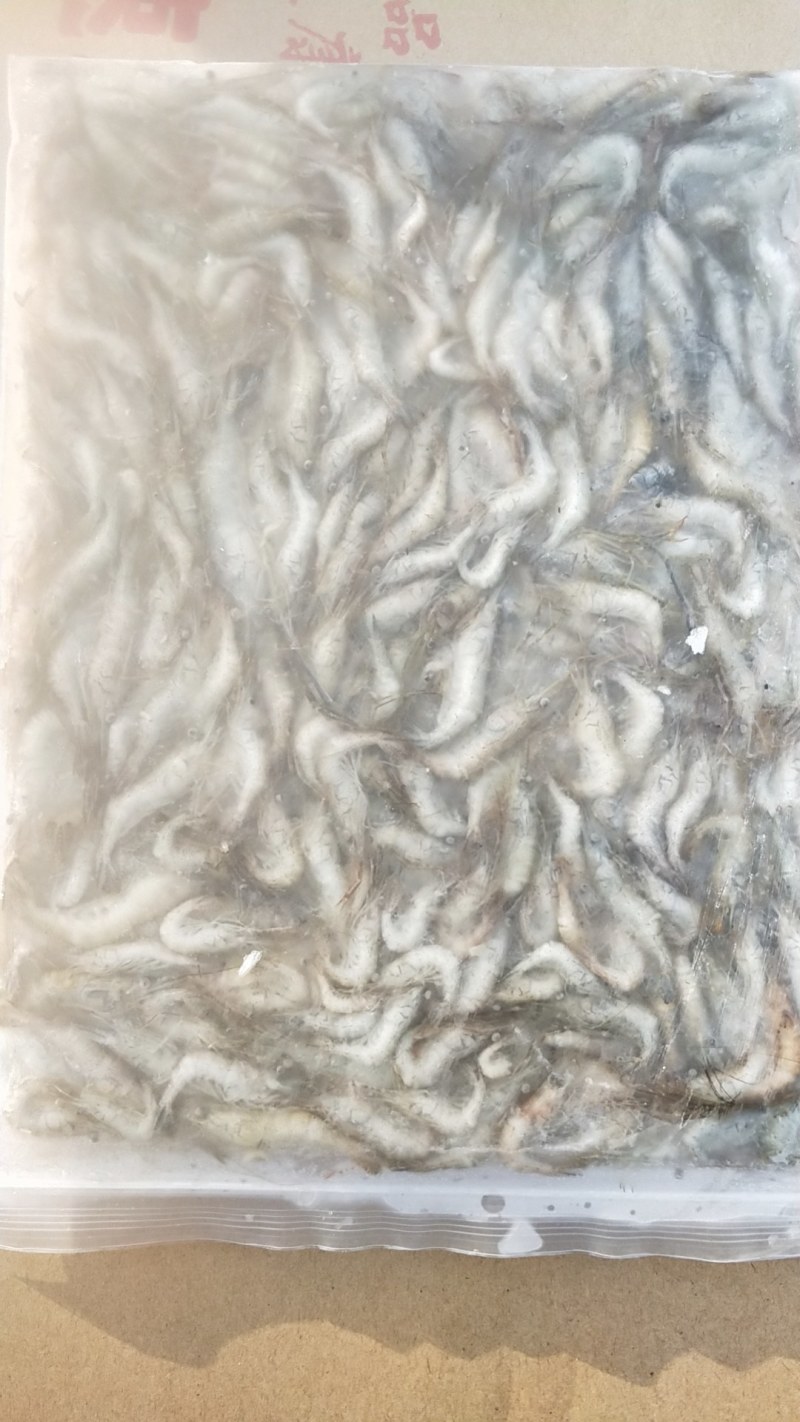 河虾规格4-6公分，冻板