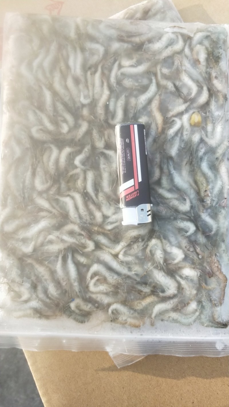 河虾规格4-6公分，冻板
