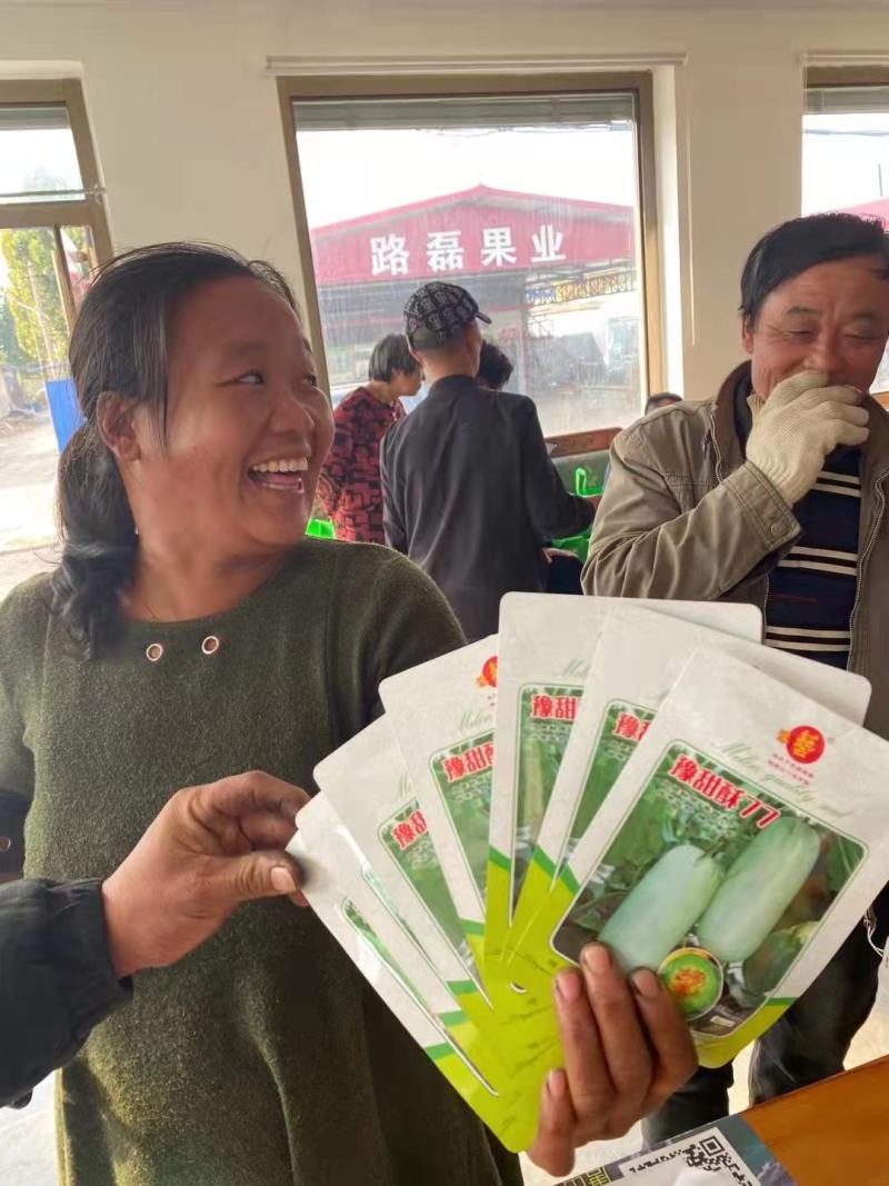 豫甜酥77薄皮甜瓜种子豫艺种业绿肉厂家直销