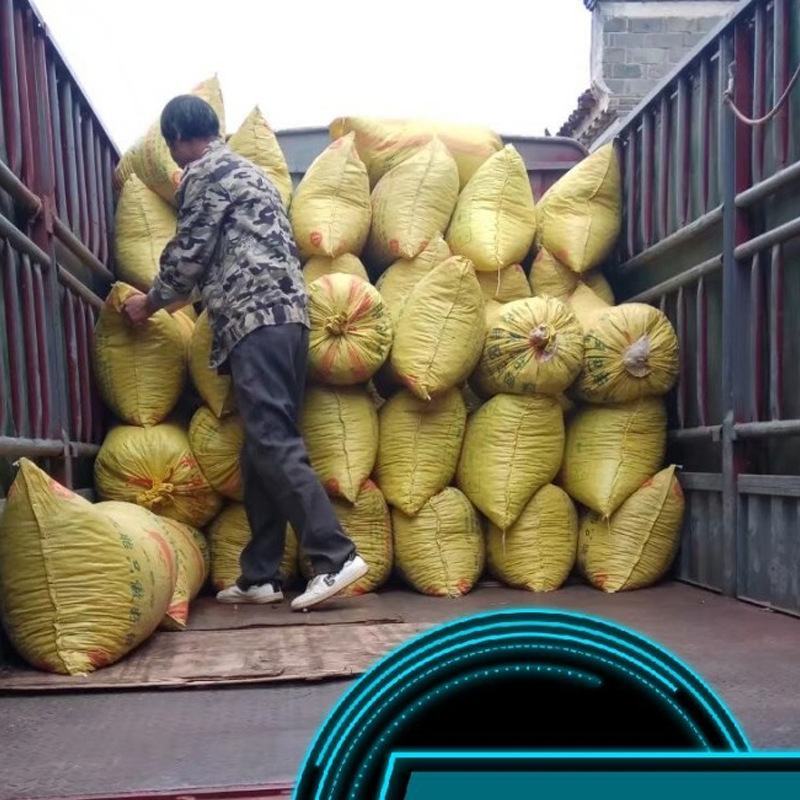 油茶籽（正宗老树油茶籽）