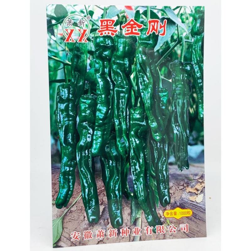 萧新皱皮椒辣椒种子黑绿薄皮羊角椒种1000粒原装发货