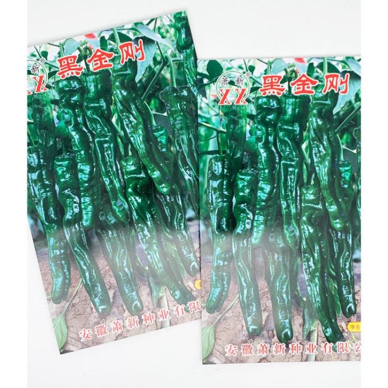 萧新皱皮椒辣椒种子黑绿薄皮羊角椒种1000粒原装发货