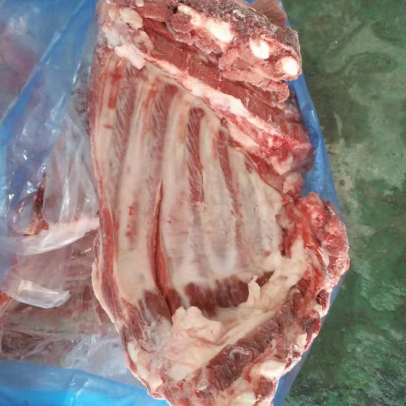 母猪无颈前排，新货，手续齐全，品质保证，长期稳定