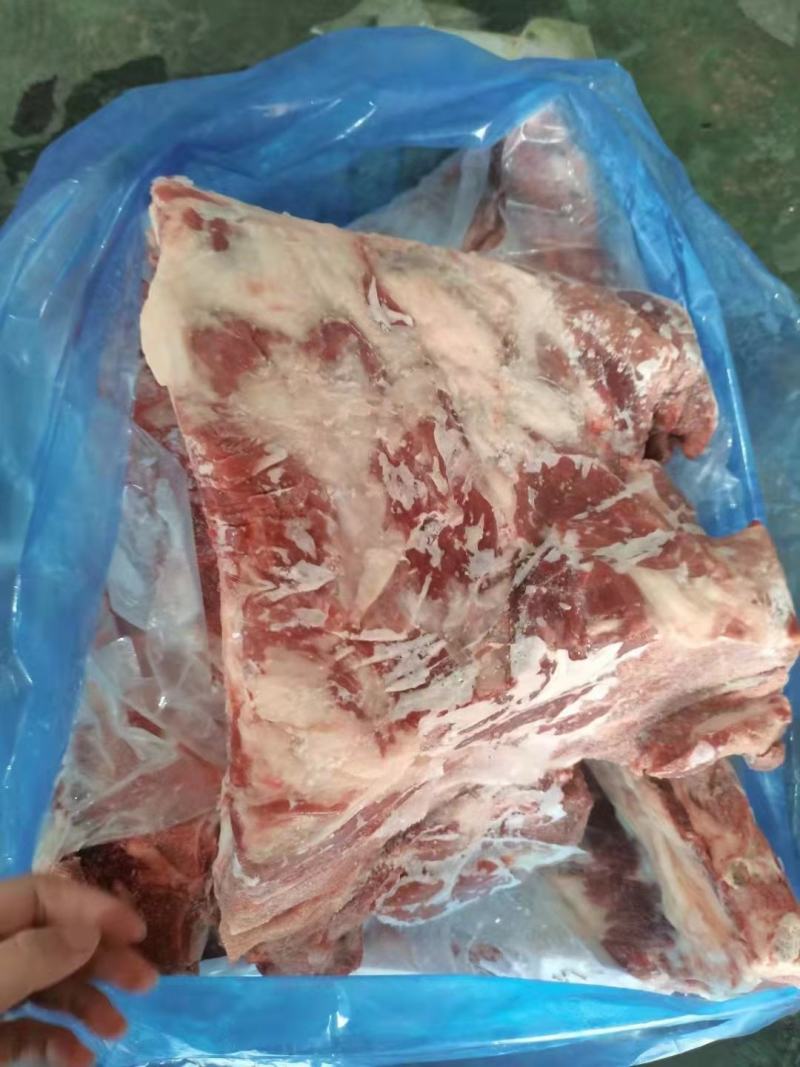 母猪无颈前排，新货，手续齐全，品质保证，长期稳定