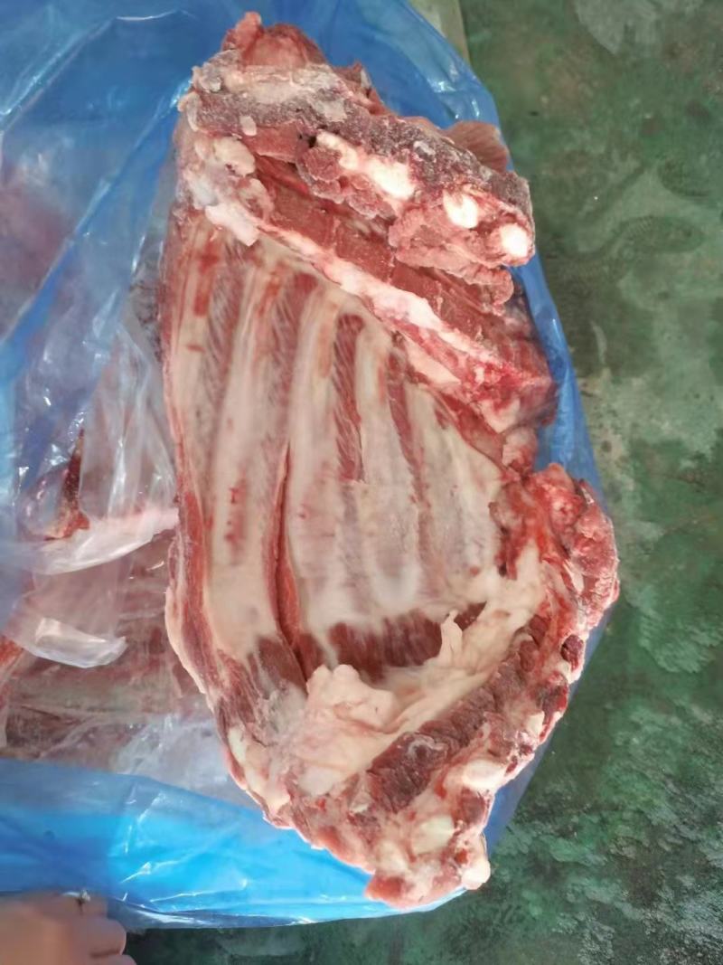 母猪无颈前排，新货，手续齐全，品质保证，长期稳定